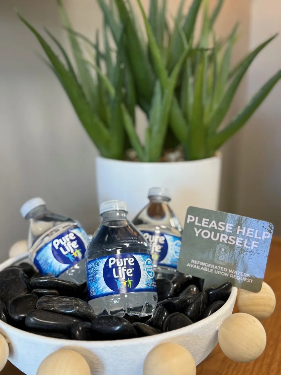 Burien Dental Water Station with Plant