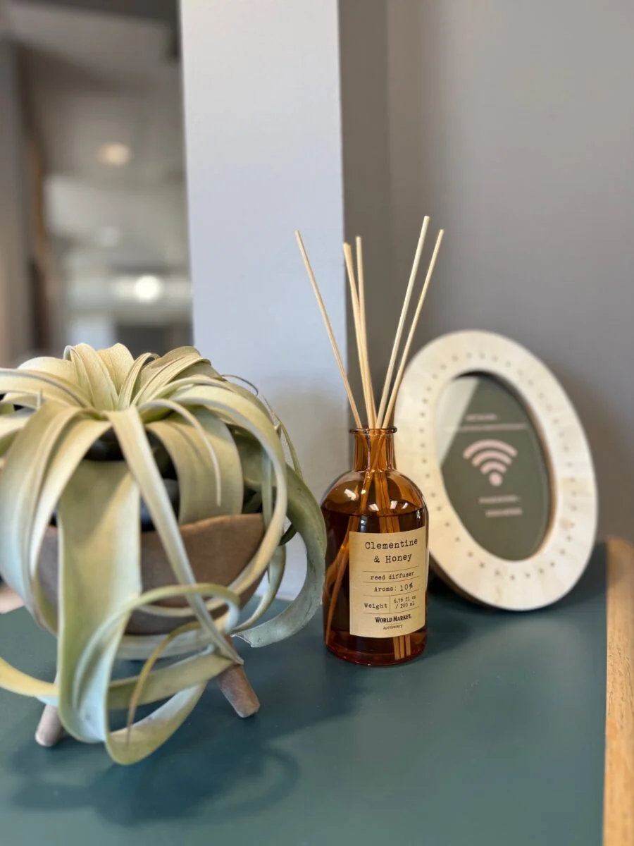 Burien Dental Reed Diffuser & Plant Decor